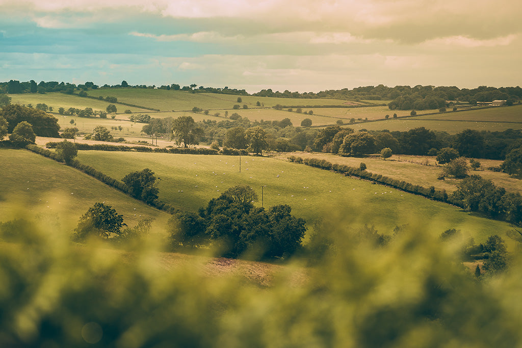 British Countryside