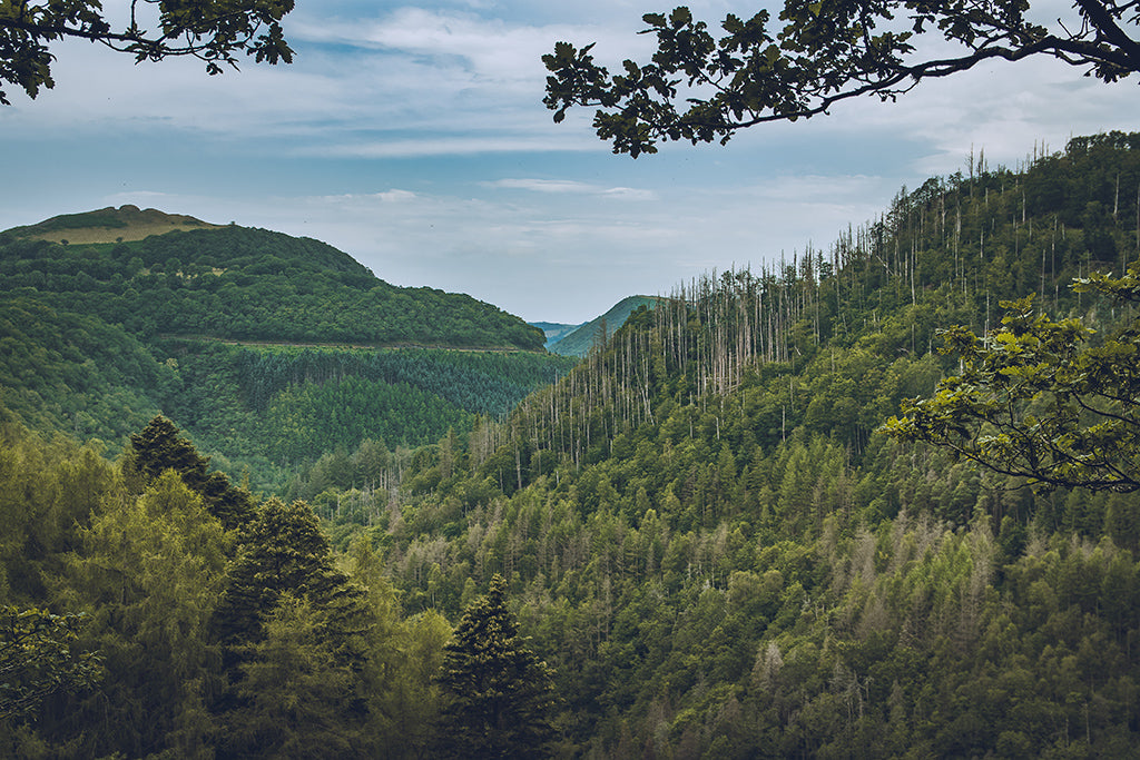 Devil's Bridge Valley