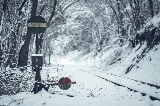 Tracks in the Winter